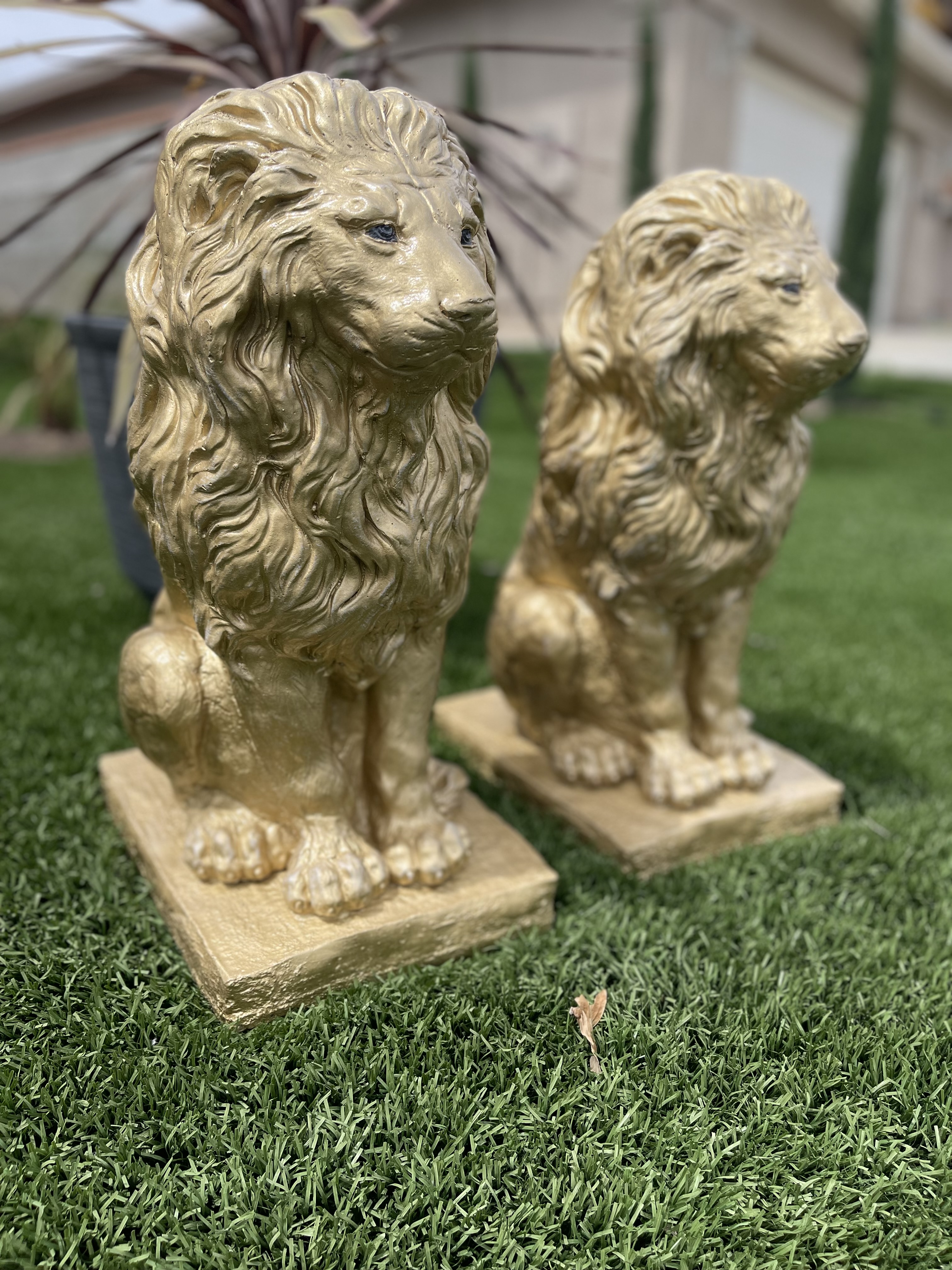 Majestic Guardian Lion Large